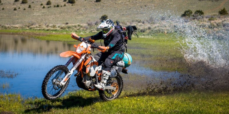 What is dual sport
