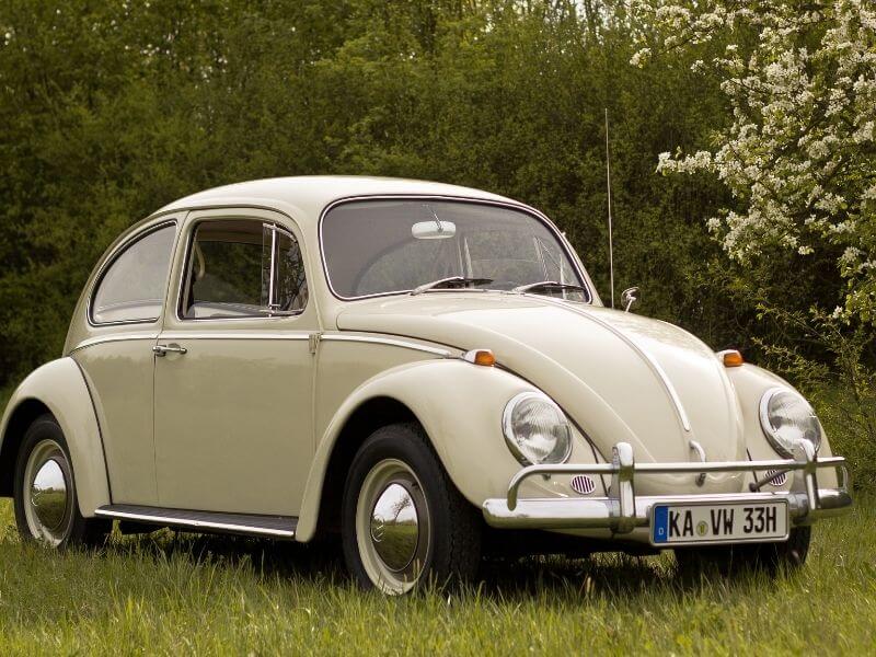 The Volkswagen Beetle